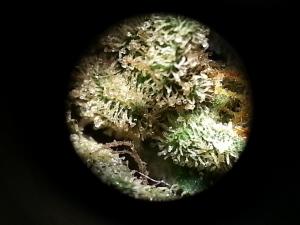 post-52063-0-38123100-1453643063_thumb.j