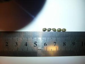 post-52063-0-56781100-1452282653_thumb.j