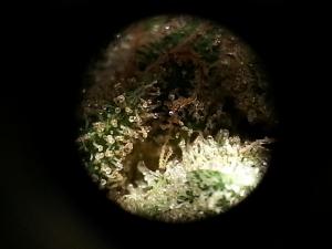 post-52063-0-75433200-1453643105_thumb.j