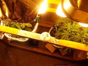 post-3021-0-37223000-1361069062_thumb.jp