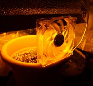 post-4233-0-30694300-1360916393_thumb.jp