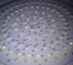 post-4932-0-59961800-1361925702_thumb.jp