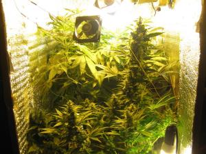 post-19016-0-77181500-1391251453_thumb.j