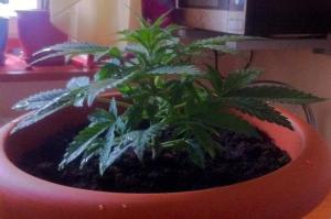 post-21609-0-56558800-1392726687_thumb.j