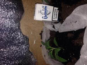 post-6634-0-74371600-1391854381_thumb.jp