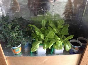 post-19759-0-45744300-1423552029_thumb.j