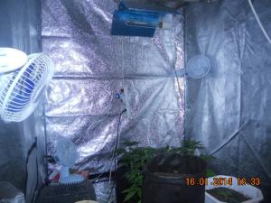 post-38010-0-88302000-1424198687_thumb.j