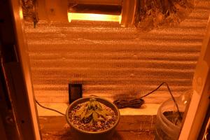 post-12498-0-04301500-1454736443_thumb.j