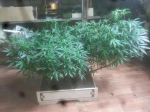 post-22568-0-52352500-1454288647_thumb.j