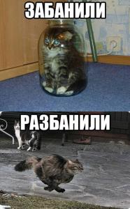 post-42897-0-51626100-1454777171_thumb.j