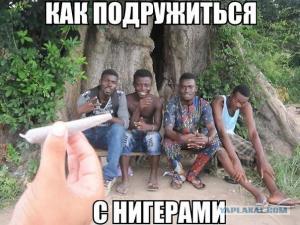 post-44466-0-12627100-1454949360_thumb.j