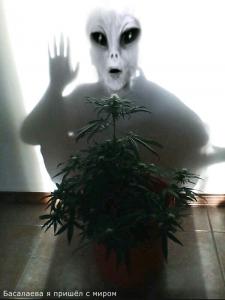 post-44466-0-88040500-1454286117_thumb.j