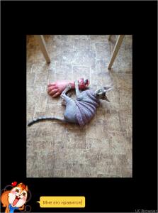 post-52551-0-85646300-1454520487_thumb.j