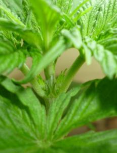 post-53508-0-62214300-1454450683_thumb.j