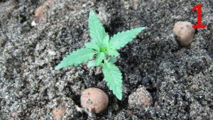 post-53799-0-78979900-1455213803_thumb.j