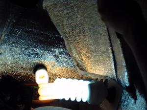 post-1496-0-82133200-1363421158_thumb.jp