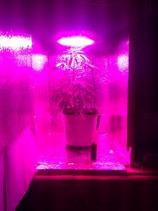 post-4932-0-69461500-1362613245_thumb.jp