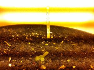 post-5988-0-29903500-1362813956_thumb.jp