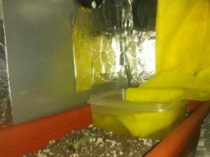 post-20695-0-83107100-1395155272_thumb.j