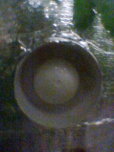 post-23524-0-33639700-1395606848_thumb.j