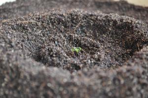 post-24239-0-08699300-1395306586_thumb.j