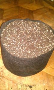 post-6029-0-01097800-1395418463_thumb.jp