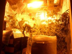 post-7259-0-09975300-1394114028_thumb.jp