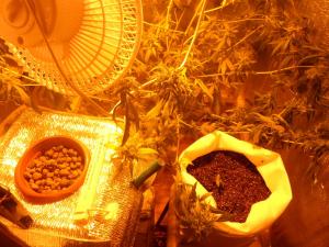 post-7259-0-19844200-1394114039_thumb.jp