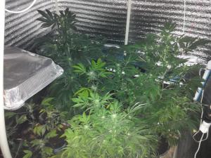 post-39420-0-17542000-1427648356_thumb.j