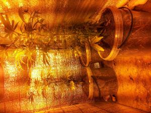 post-39420-0-33940900-1426350491_thumb.j