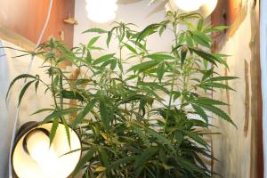 post-40800-0-24598300-1427734813_thumb.j