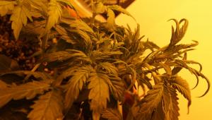 post-41368-0-65311400-1427550116_thumb.j