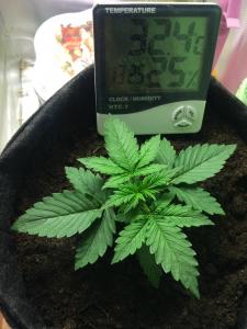 post-36102-0-68198300-1457249185_thumb.j