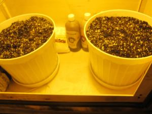 post-50139-0-88115800-1457345468_thumb.j