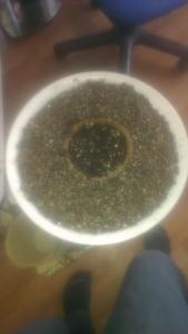 post-55550-0-12312200-1458653565_thumb.j