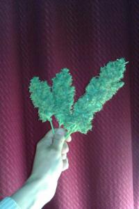 post-21124-540238_thumb.jpg