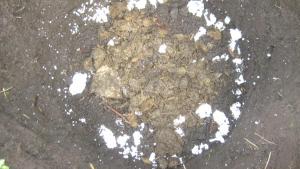 post-26214-0-88750500-1396900501_thumb.j