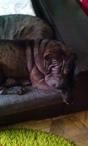 post-6029-0-33605100-1397287161_thumb.jp