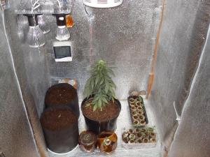 post-14271-0-53753600-1429951428_thumb.j