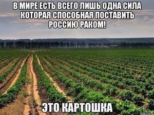 post-35920-0-09363700-1430363065_thumb.j