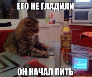 post-35920-0-83059900-1430363070_thumb.j