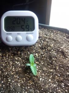 post-41654-0-33038100-1429701828_thumb.j