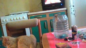 post-42897-0-90456500-1460809336_thumb.j