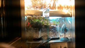 post-42897-0-99986900-1460006667_thumb.j