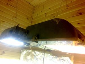 post-7488-0-16972200-1367558720_thumb.jp