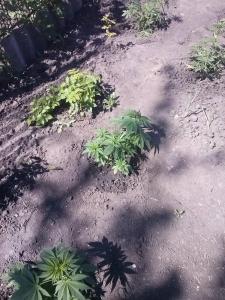 post-23870-0-99504100-1400510596_thumb.j