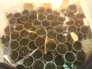 post-15730-0-29387500-1430488660_thumb.j