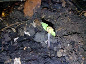 post-42440-0-78230500-1432063041_thumb.j