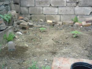 post-13834-0-96857100-1462465554_thumb.j