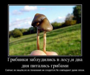 post-47764-0-61460700-1464012966_thumb.j